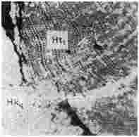 ГОСТ 12112-78 (СТ СЭВ 5431-85) Угли бурые. Метод определения петрографического состава (с Изменениями N 1, 2, 3)