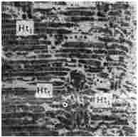 ГОСТ 12112-78 (СТ СЭВ 5431-85) Угли бурые. Метод определения петрографического состава (с Изменениями N 1, 2, 3)