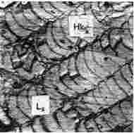 ГОСТ 12112-78 (СТ СЭВ 5431-85) Угли бурые. Метод определения петрографического состава (с Изменениями N 1, 2, 3)