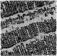 ГОСТ 12112-78 (СТ СЭВ 5431-85) Угли бурые. Метод определения петрографического состава (с Изменениями N 1, 2, 3)