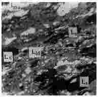 ГОСТ 12112-78 (СТ СЭВ 5431-85) Угли бурые. Метод определения петрографического состава (с Изменениями N 1, 2, 3)