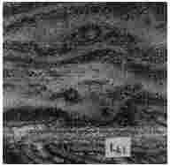 ГОСТ 12112-78 (СТ СЭВ 5431-85) Угли бурые. Метод определения петрографического состава (с Изменениями N 1, 2, 3)