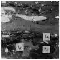 ГОСТ 12112-78 (СТ СЭВ 5431-85) Угли бурые. Метод определения петрографического состава (с Изменениями N 1, 2, 3)