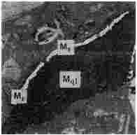 ГОСТ 12112-78 (СТ СЭВ 5431-85) Угли бурые. Метод определения петрографического состава (с Изменениями N 1, 2, 3)