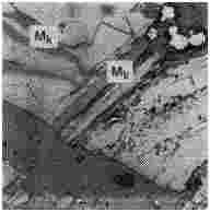 ГОСТ 12112-78 (СТ СЭВ 5431-85) Угли бурые. Метод определения петрографического состава (с Изменениями N 1, 2, 3)