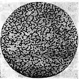 ГОСТ 6032-89 (ИСО 3651/1-76, ИСО 3651/2-76) Стали и сплавы коррозионно-стойкие. Методы испытания на стойкость против межкристаллитной коррозии (не действует на территории РФ)