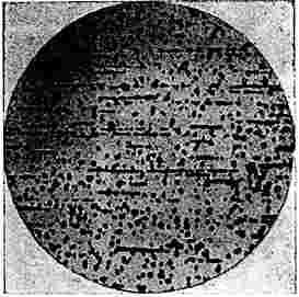 ГОСТ 6032-89 (ИСО 3651/1-76, ИСО 3651/2-76) Стали и сплавы коррозионно-стойкие. Методы испытания на стойкость против межкристаллитной коррозии (не действует на территории РФ)